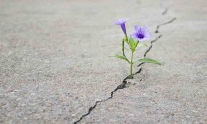 معنای زندگی
